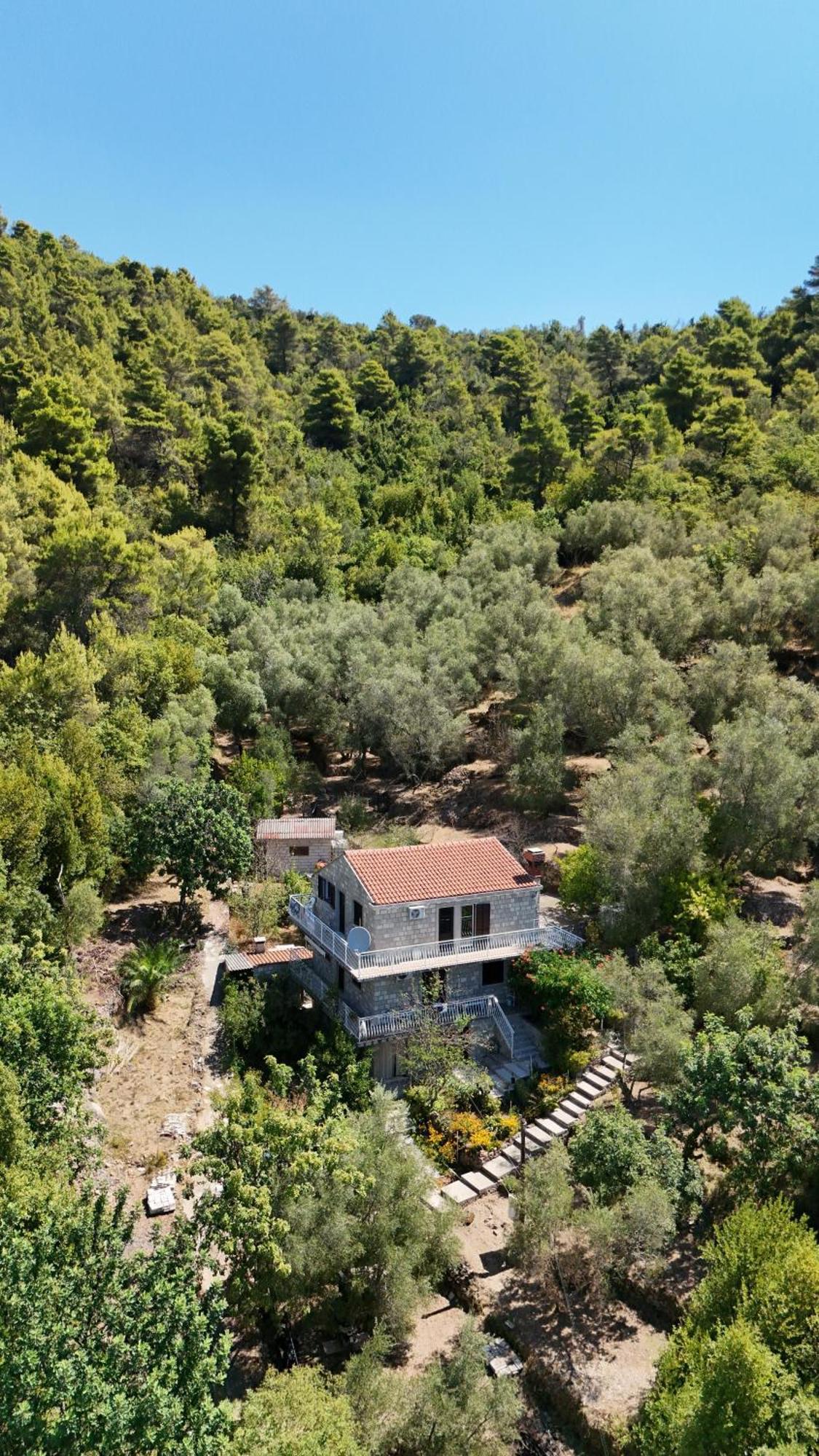 Apartment Kod Jadranke Šipanska Luka Exterior foto